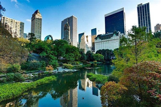 NYC Muslim Singles Matrimonial Event | Event in New York | AllEvents