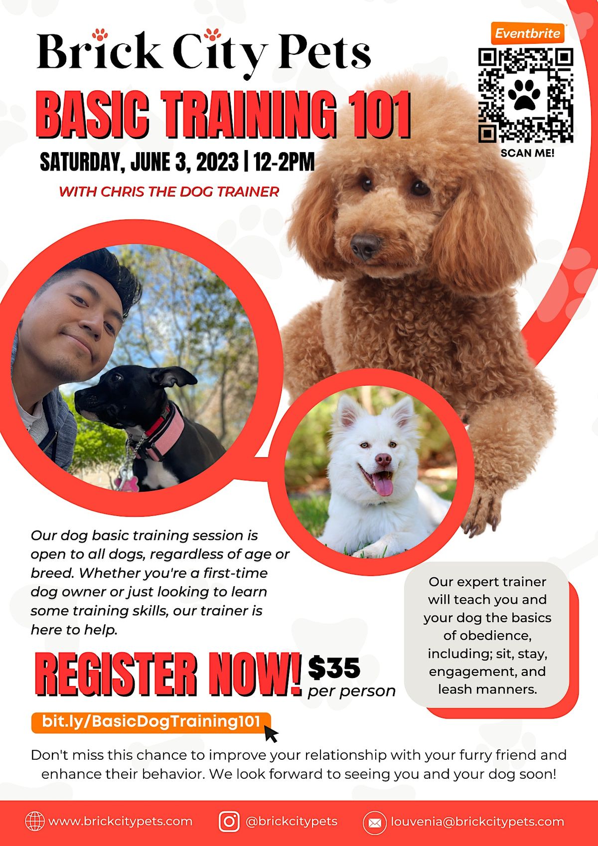 Basic Dog Training 101 with Chris the Dog Trainer, 9 Warren St, Newark