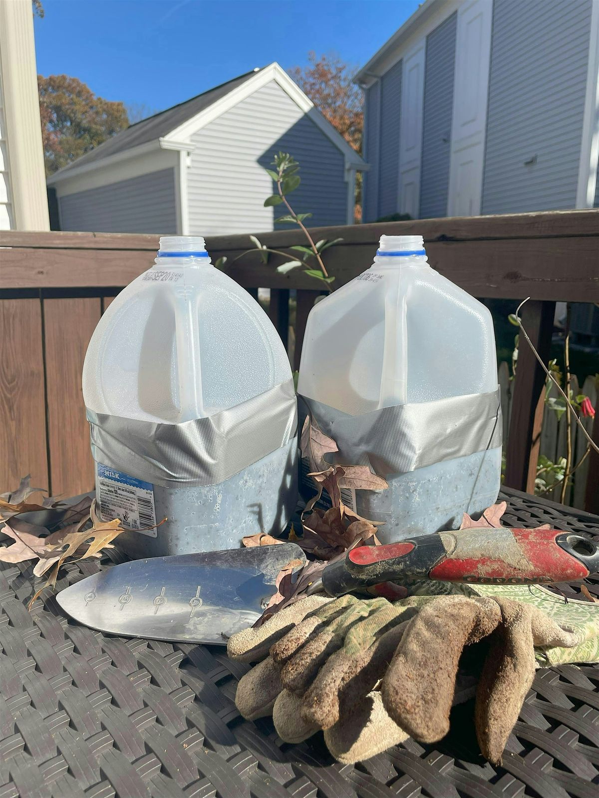 Winter Sowing Workshop I hosted by Wild Ones, 17 January | Event in Ashburn | AllEvents