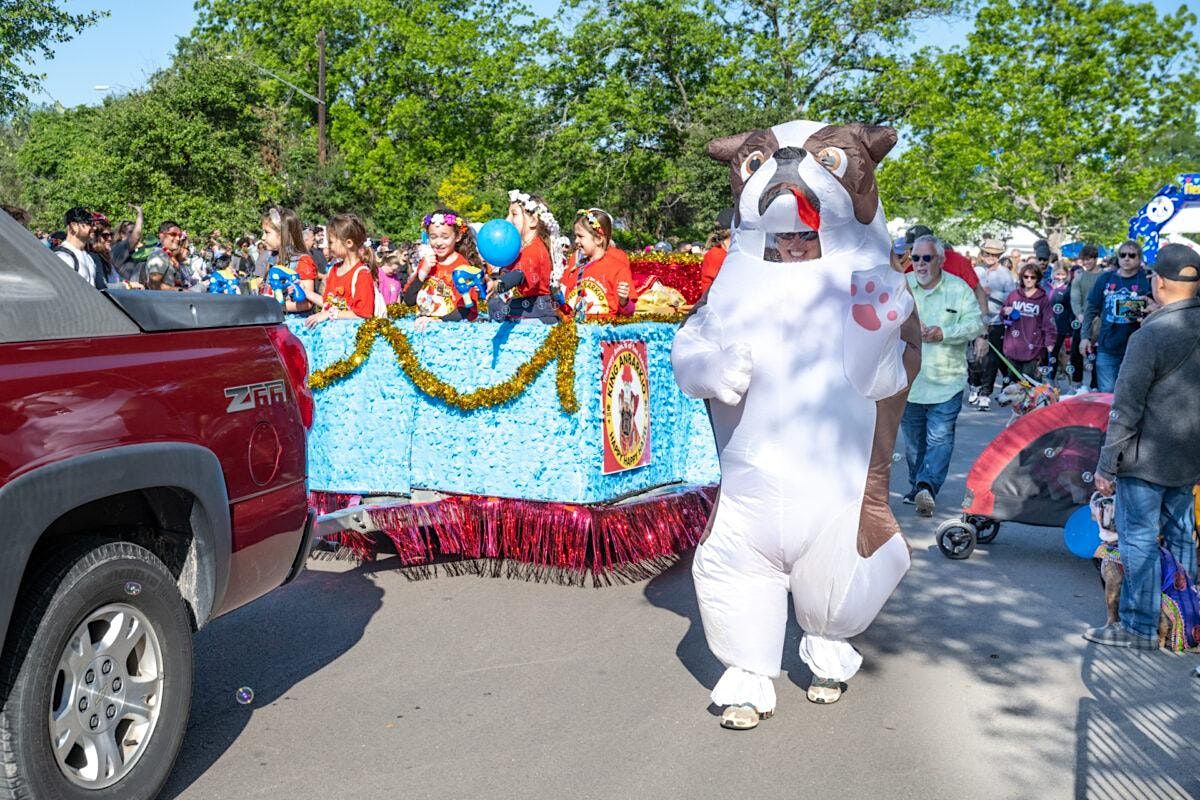 2024 Fiesta Pooch Parade, Heights Pool, Viesca Street, San Antonio, TX