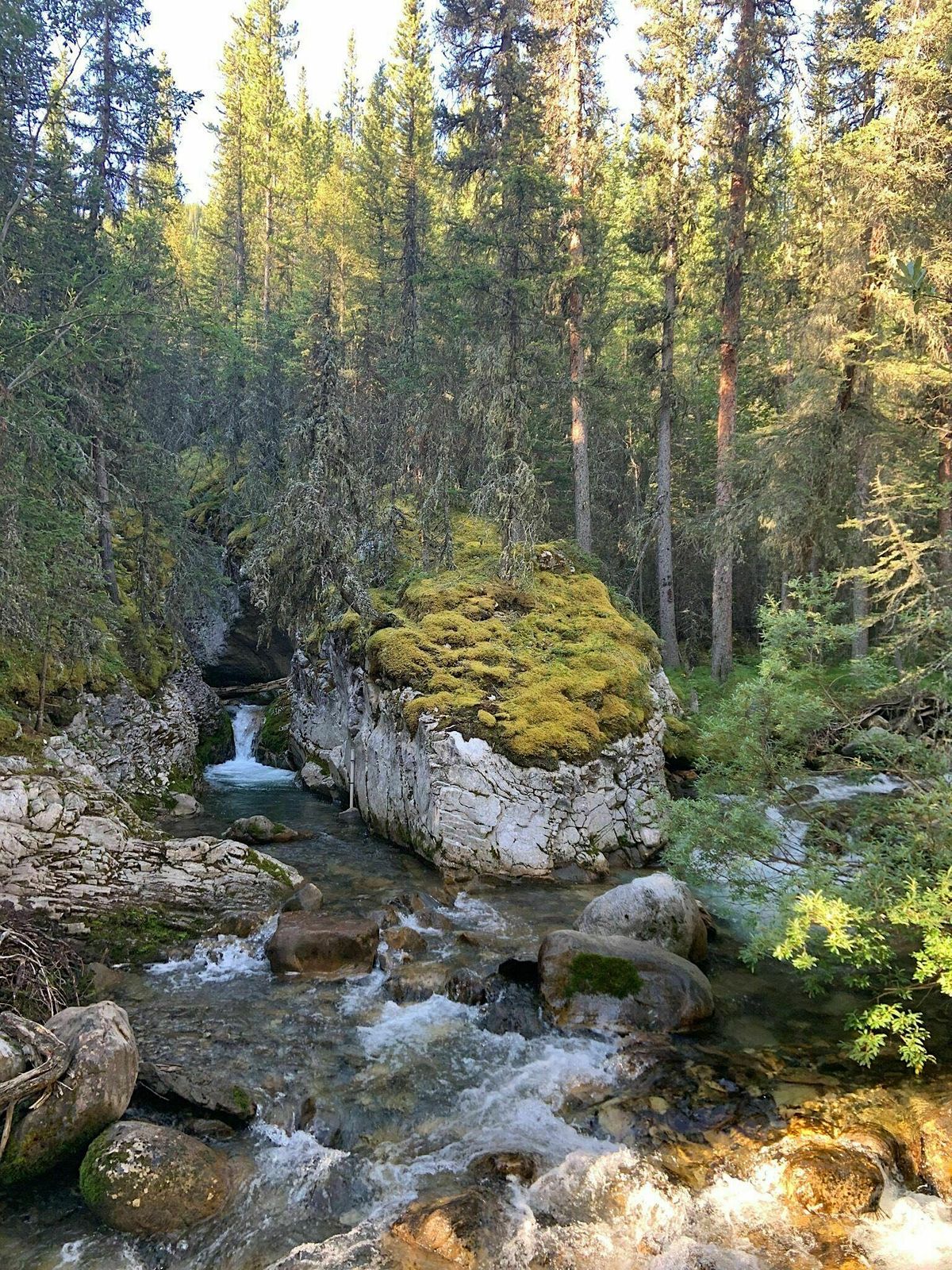 Fall colors at Lillian Lake (5IL), Galatea Lake Trail, Kananaskis