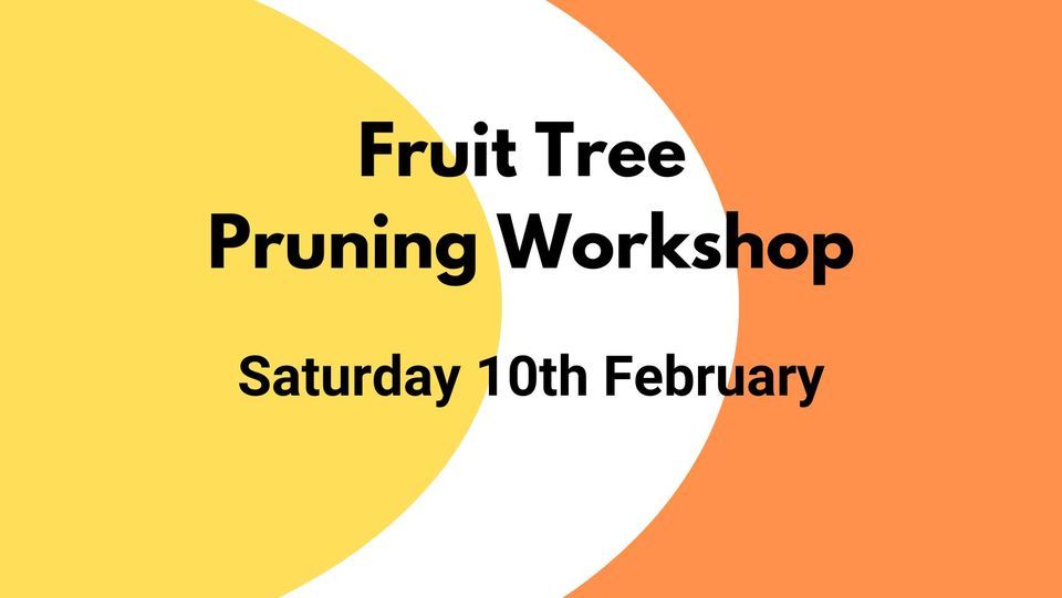 Fruit Tree Pruning Shropshire Hills Discovery Centre, Ludlow