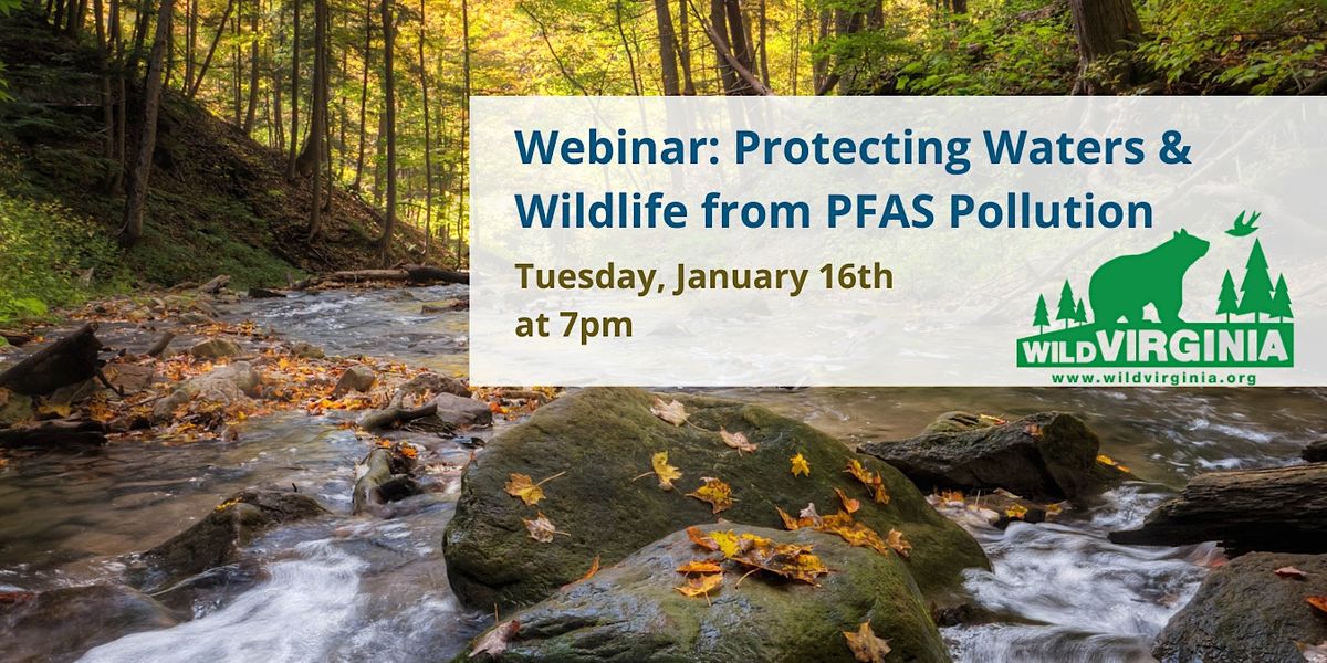 Protecting Waters & Wildlife from PFAS Pollution in Virginia, January