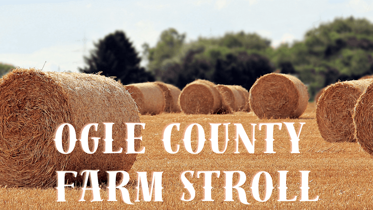 Ogle County Farm Stroll, 421 W Pines Rd, Oregon, 15 October 2023