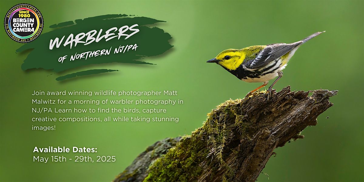 Warblers of Northern NJ/PA, 15 May | Event in Sussex County | AllEvents