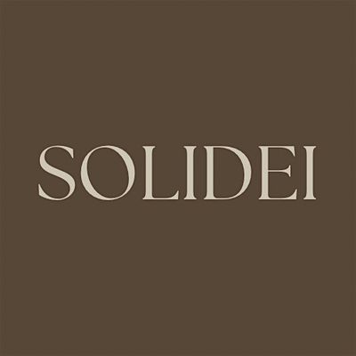 SOLIDEI logo