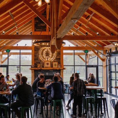Battle of the Beer Trees Round 3, Farm by Beer Tree Brew, Port Crane ...