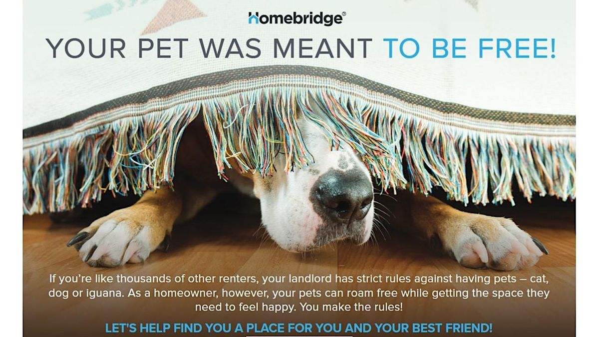 First Time Homebuyer Class Washington State Housing Finance