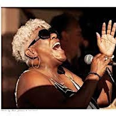 Tia Carroll - Benefit for Rowena Wildlife Clinic