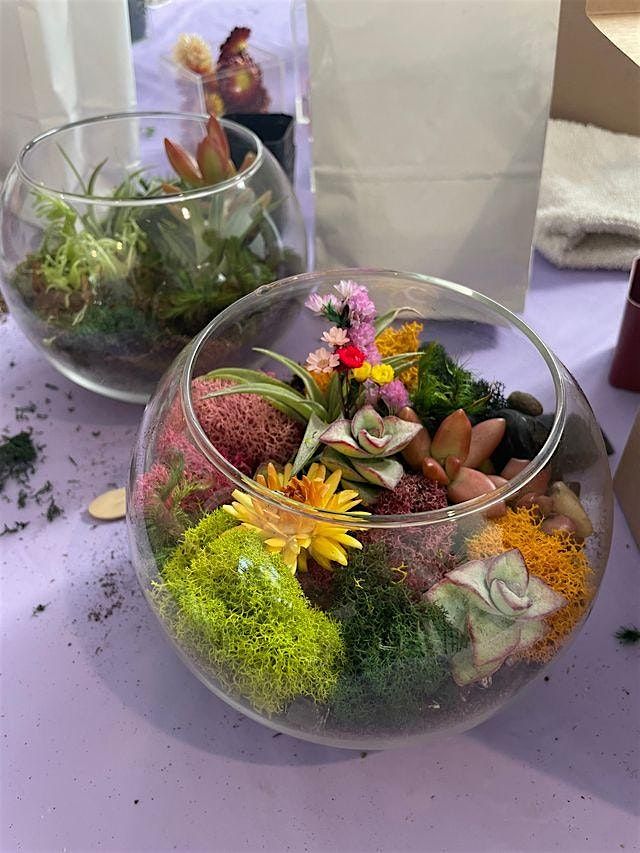 Create Your Own Succulent Sanctuary: Classic Open Terrarium Workshop | Event in San Mateo | AllEvents