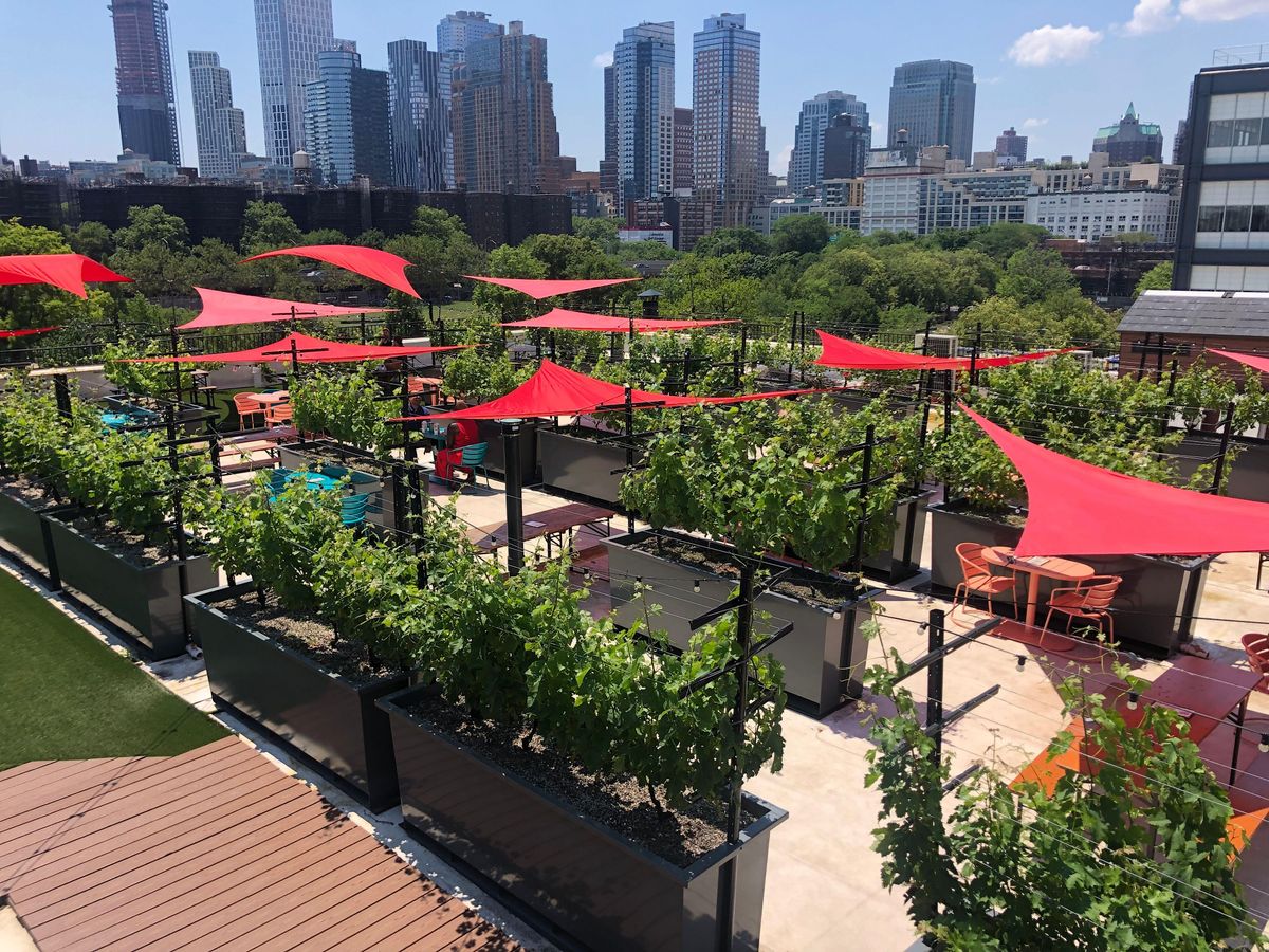 rooftop reds fourth of july