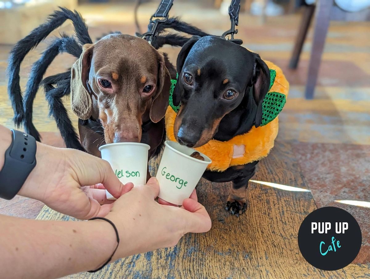 Halloween Dachshund Pup Up Cafe - London 🎃, 18 October | Event in London | AllEvents