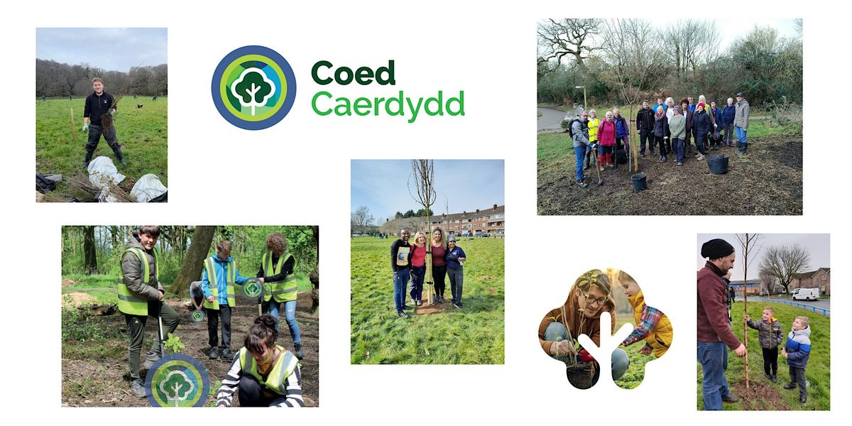 Tree planting - Splott Park, Splott, Splott Park, Cardiff, 29 November ...