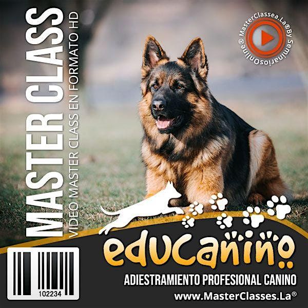 Educanino es Bueno: Todo sobre Adiestramiento Canino, 30 June | Event in Barcelona | AllEvents