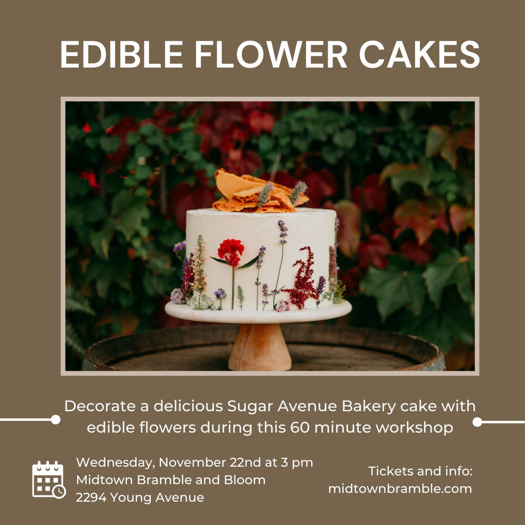 Cake at Kresge Auditorium at Interlochen Center, 15 August | Event in Interlochen | AllEvents