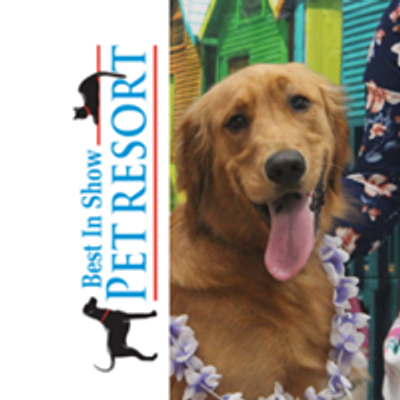 Best In Show Pet Resort
