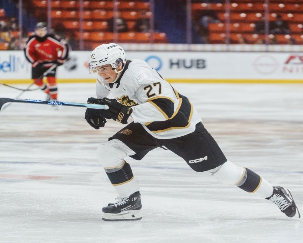 Brandon Wheat Kings at Medicine Hat Tigers at Co-op Place, 8 November | Event in Medicine Hat | AllEvents