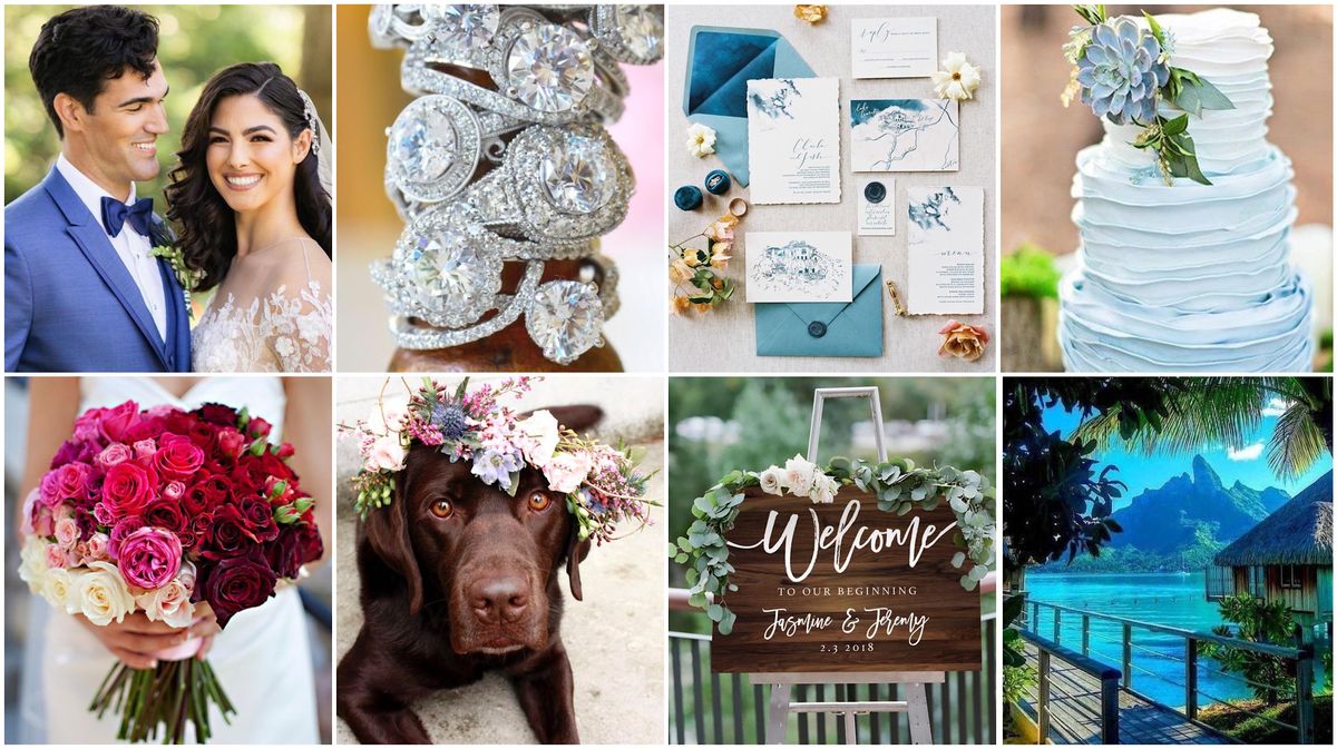 Bridal Expo Chicago, Sun. Jan 7th, Marriott Hotel, Naperville, 11a3