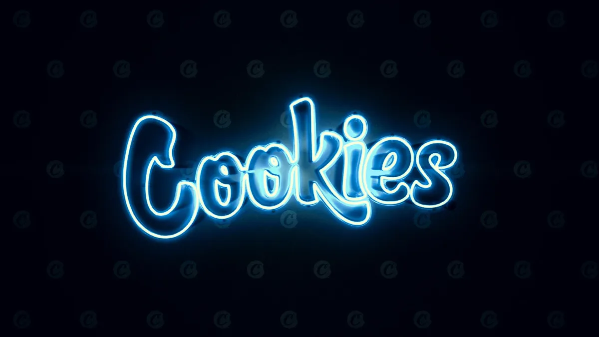 Berner in City of New York, 7 February | Event in Maspeth | AllEvents