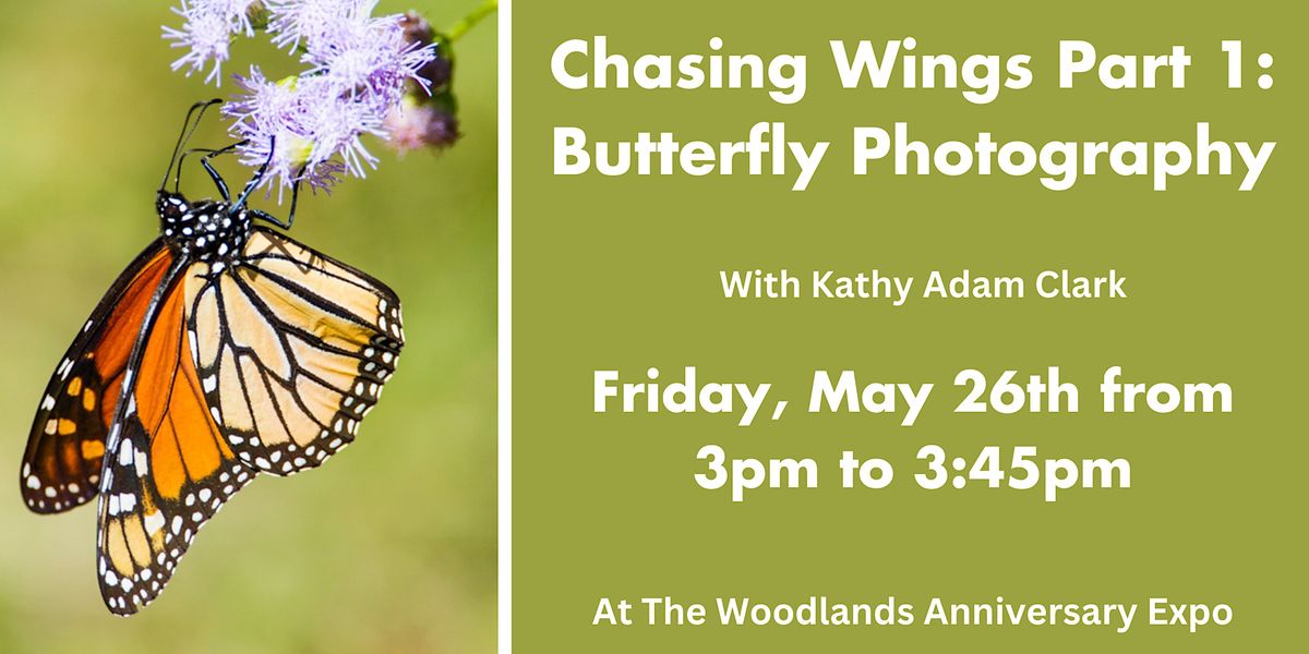 Chasing Wings Part 1 Butterfly Photography with Kathy Adams Clark, Precision Camera & Video