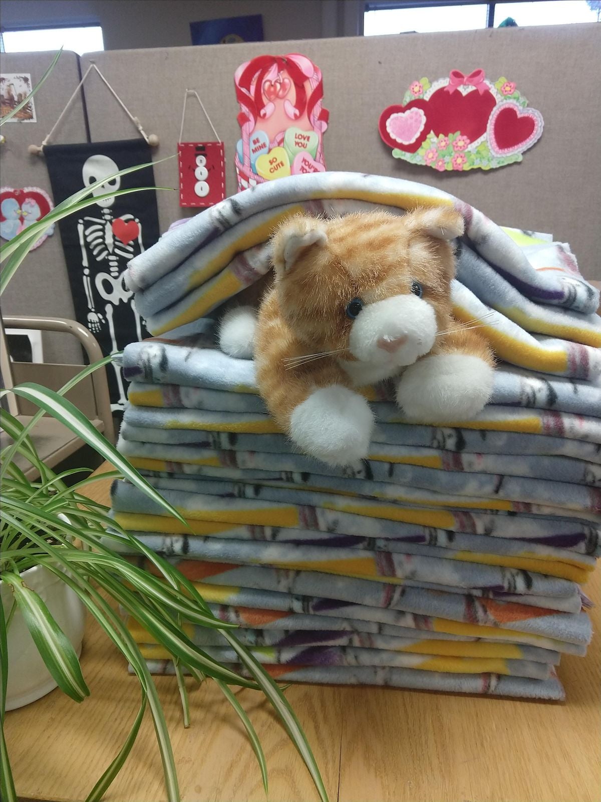Make NoSew Cat Blankets for Lollypop Farm, Penfield Public Library, 28