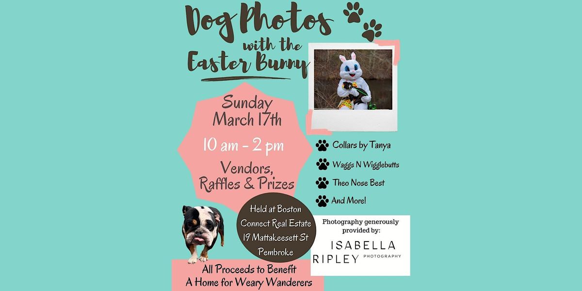 Dog Photos with the Easter Bunny, Boston Connect Real Estate, LLC