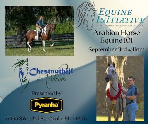 Events Activities To Do In Ocala Today Allevents In Ocala Equine Events March 2022