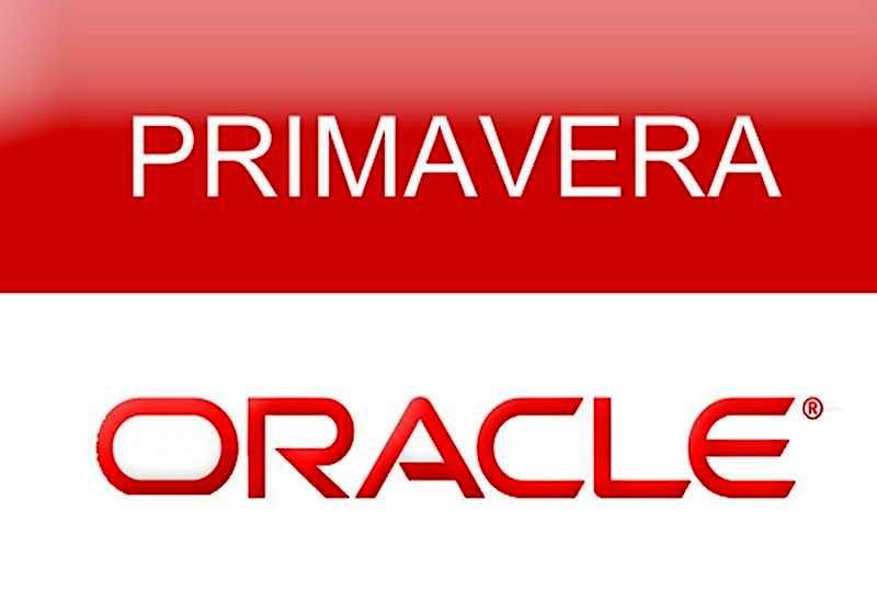 Primavera P6 Fundamentals Training Course (2 days) | Instructor Led Online, 13 June | Online Event | AllEvents.in