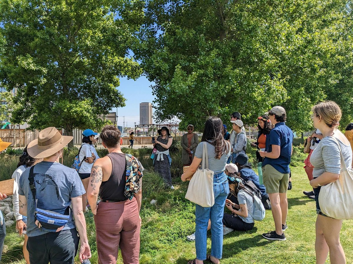 Connect with Nature- Guided Foraging & Meditation (Hawthorne- South Bay), 14 December | Event in Hawthorne