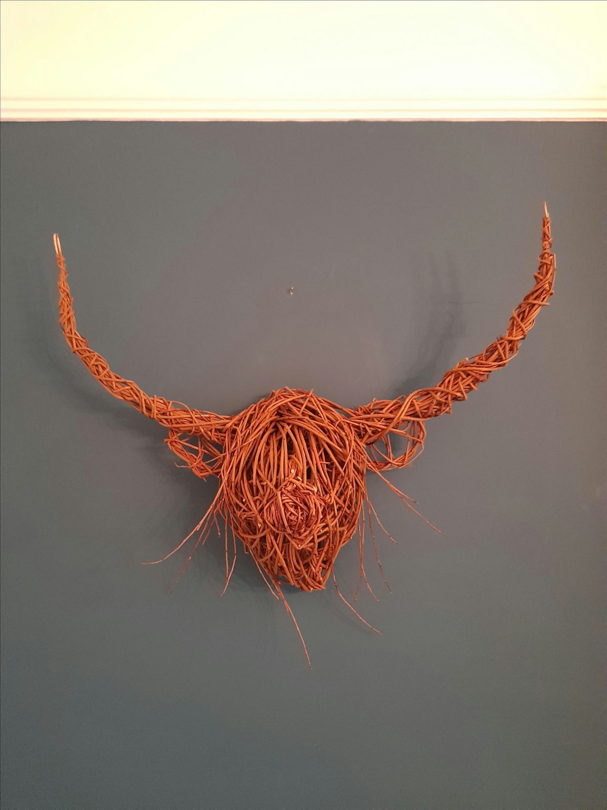 Willow Weaving with Anna and the Willow: Highland Cow (NEW), 16 August | Event in York | AllEvents