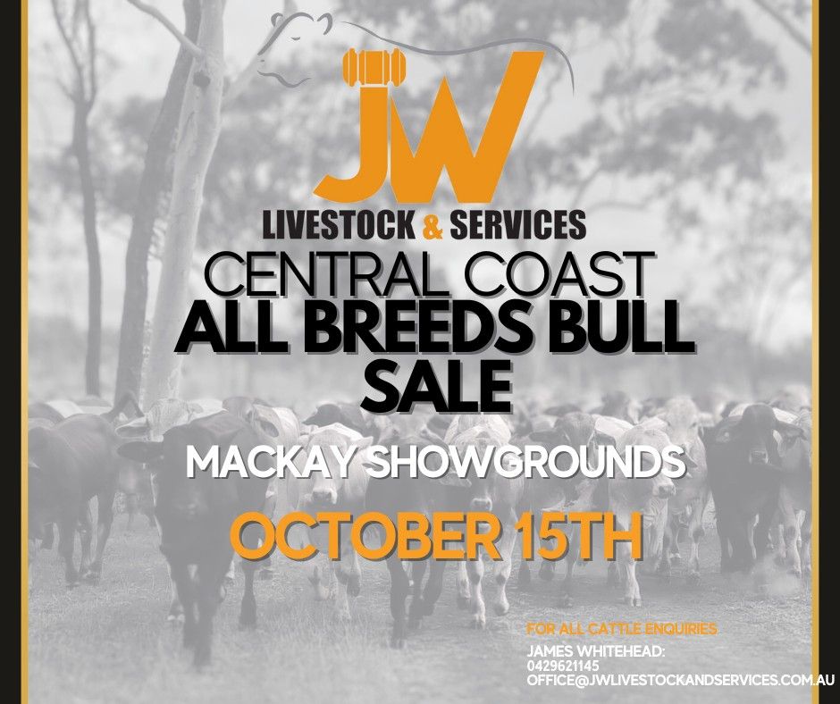 CENTRAL COAST ALL BREEDS BULL SALE, Mackay Showgrounds, 15 October 2023