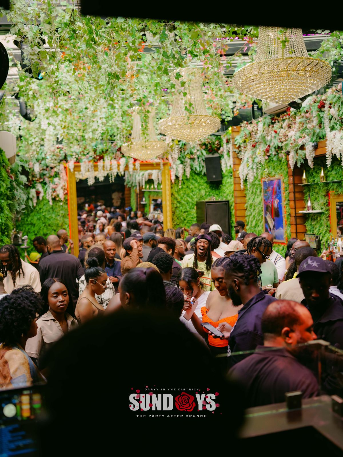 SUNDAY DAYPARTY ROSEBAR W/OPEN BAR, Rosebar Lounge, Washington, 19