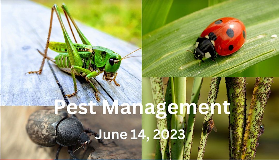 Garden Pest Management, N.C. Cooperative Extension, Cherokee County