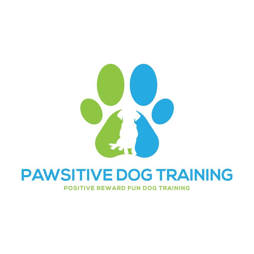 Kennel Club Good Citizen Puppy Foundation Course , Risley, Derbyshire