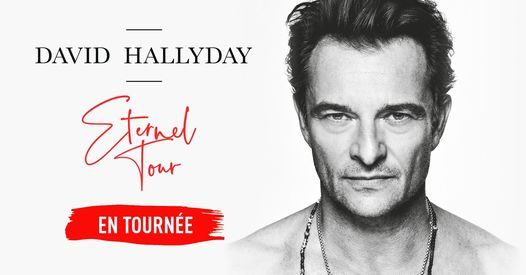 David Hallyday At Salle Metropole Lausanne Lausanne