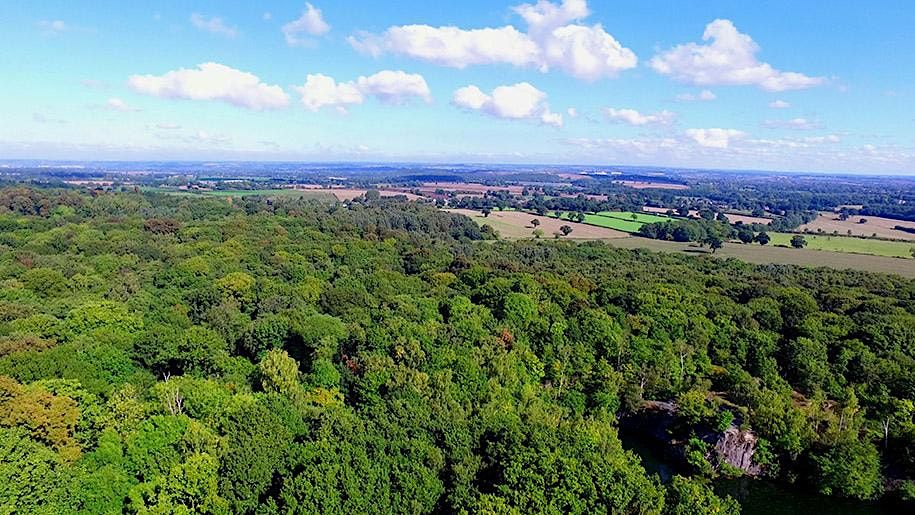 Team walk 5 Brocks Hill Country Park, Mini Statue of Liberty