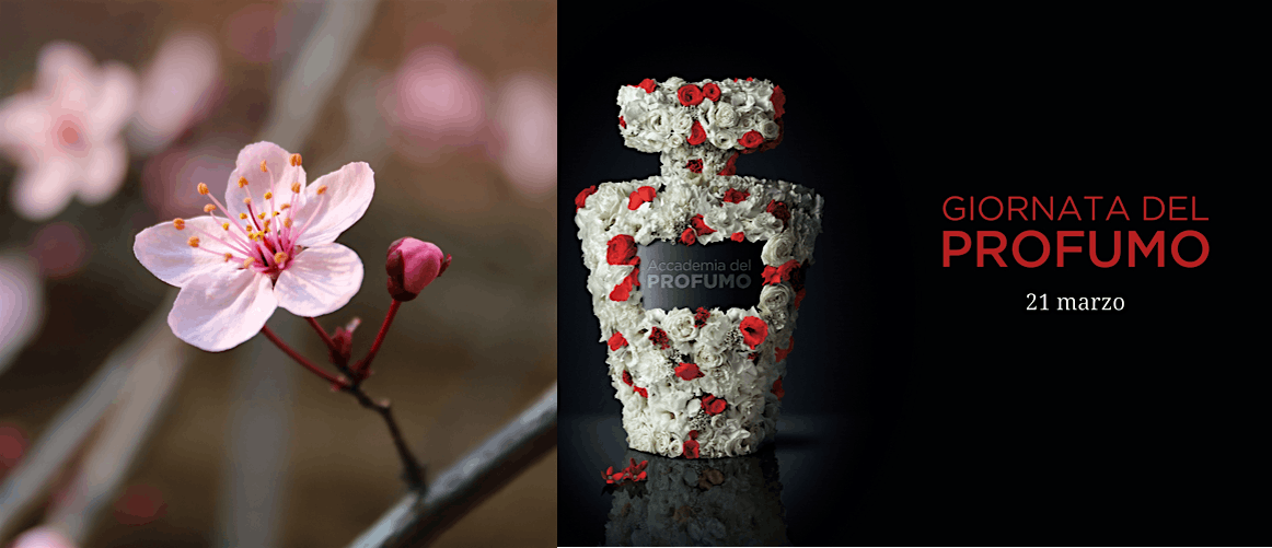 Il profumo dei fiori: scienza o magia?, Orto botanico di Brera, Milano