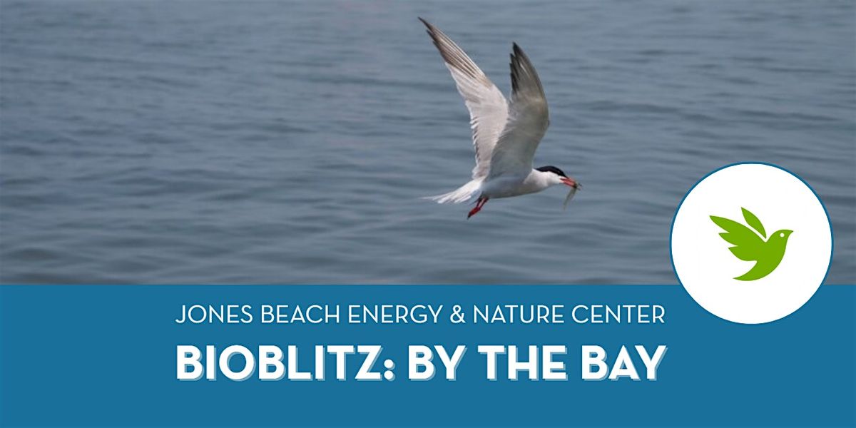 BioBlitz: By the Bay (Adults & Teens, Ages 12+), 16 December | Event in Wantagh | AllEvents