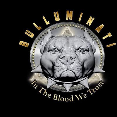 Bulluminati Bullies