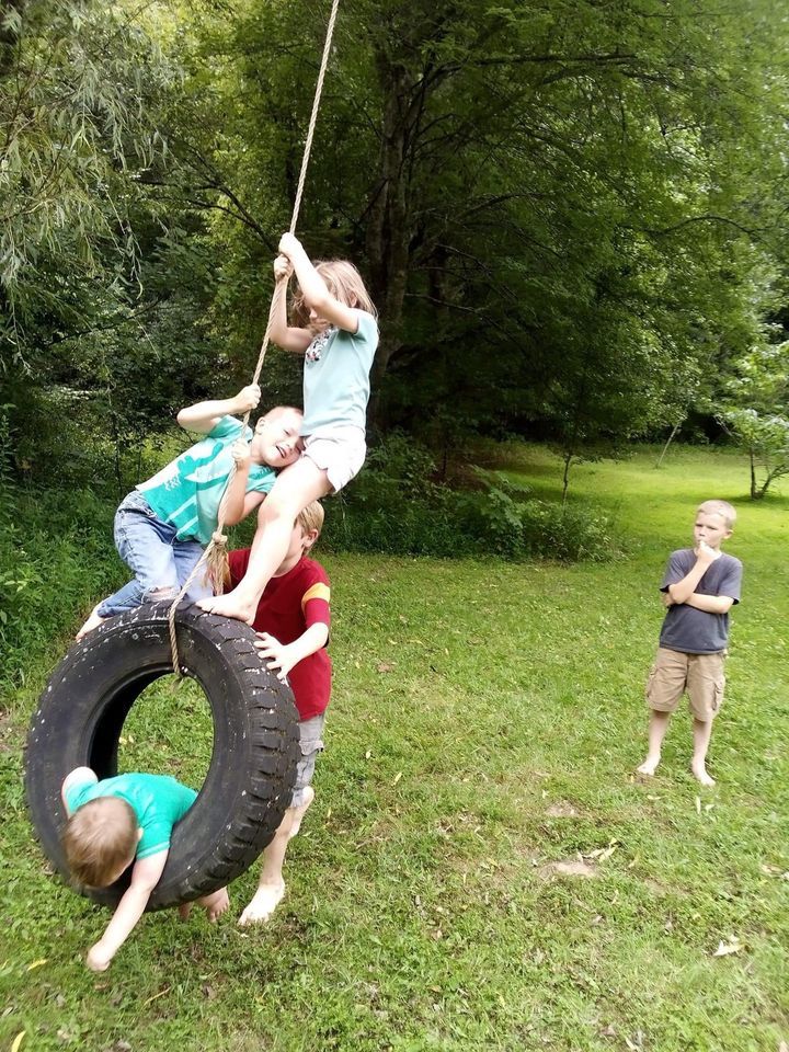 Farm Fun & Wild Nature Days, Brasstown NC, 1 March 2024 AllEvents.in