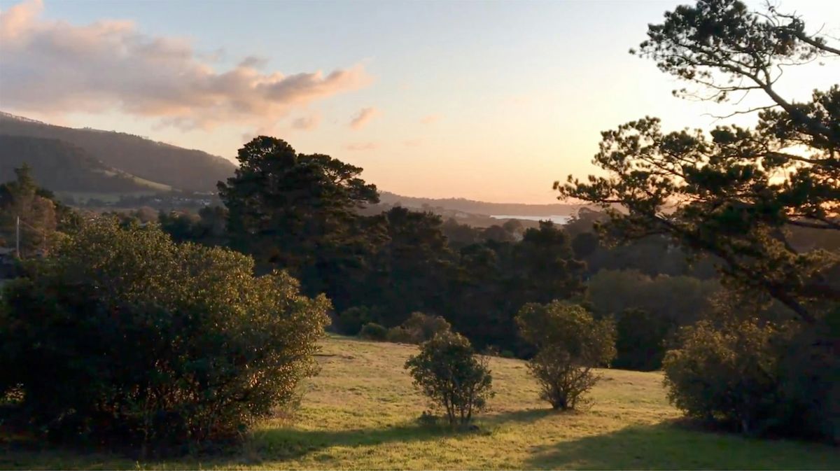 Beautiful & Creative walk through Carmel’s Mission Trail, Mission Trail