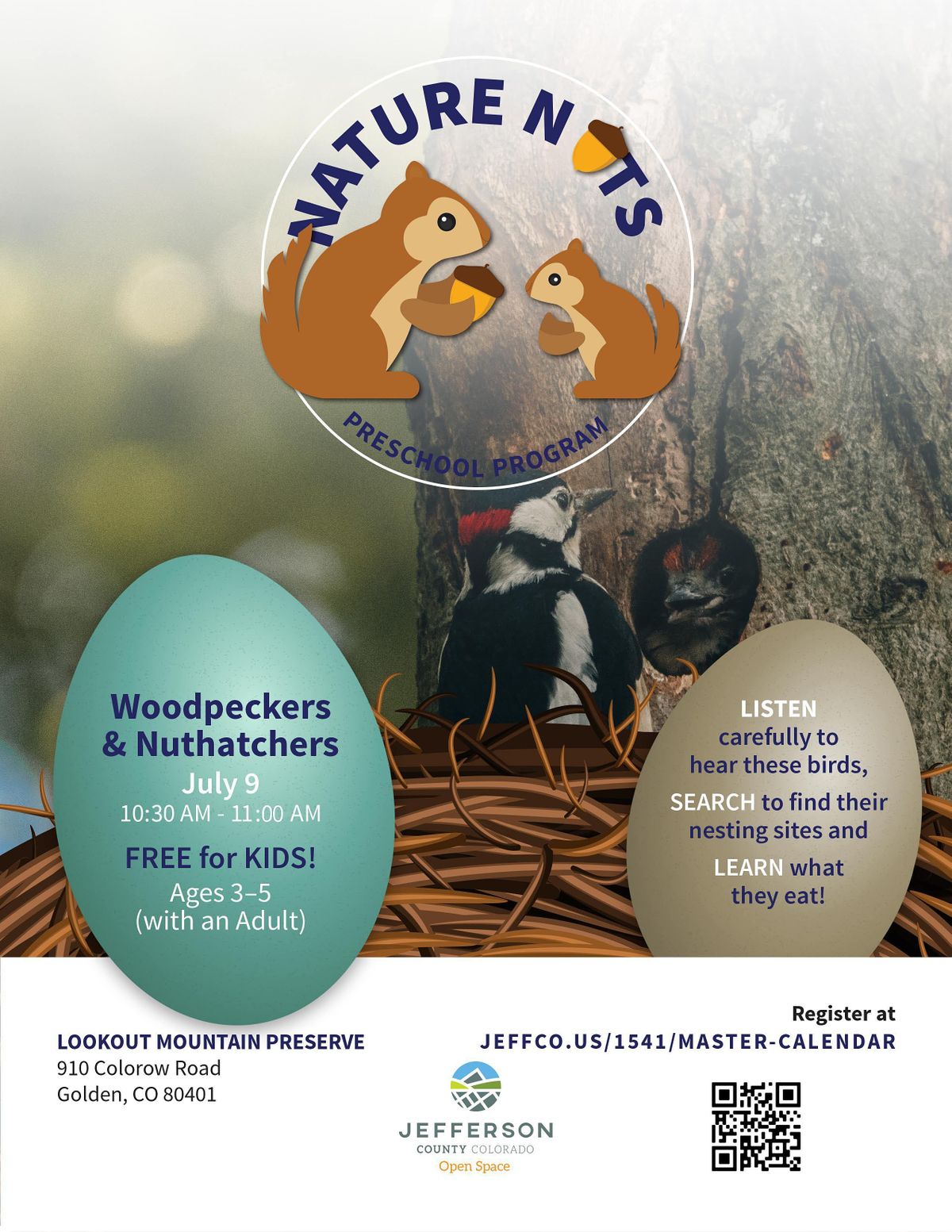 Nature Nuts Preschool Program Woodpeckers And Nuthatches Lookout nature-nuts-preschool-program-woodpeckers-and-nuthatches-lookout