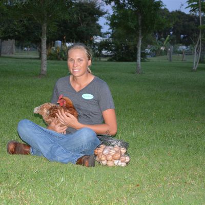 Keeping Backyard Chickens Wed March 11 2020 6p 8p At Extension