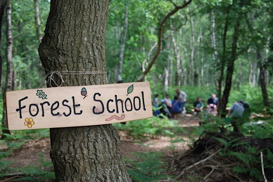 Forest School Training Level 3 Hampshire | Event in Swanwick | AllEvents