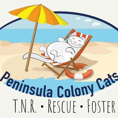 Peninsula Colony Cats