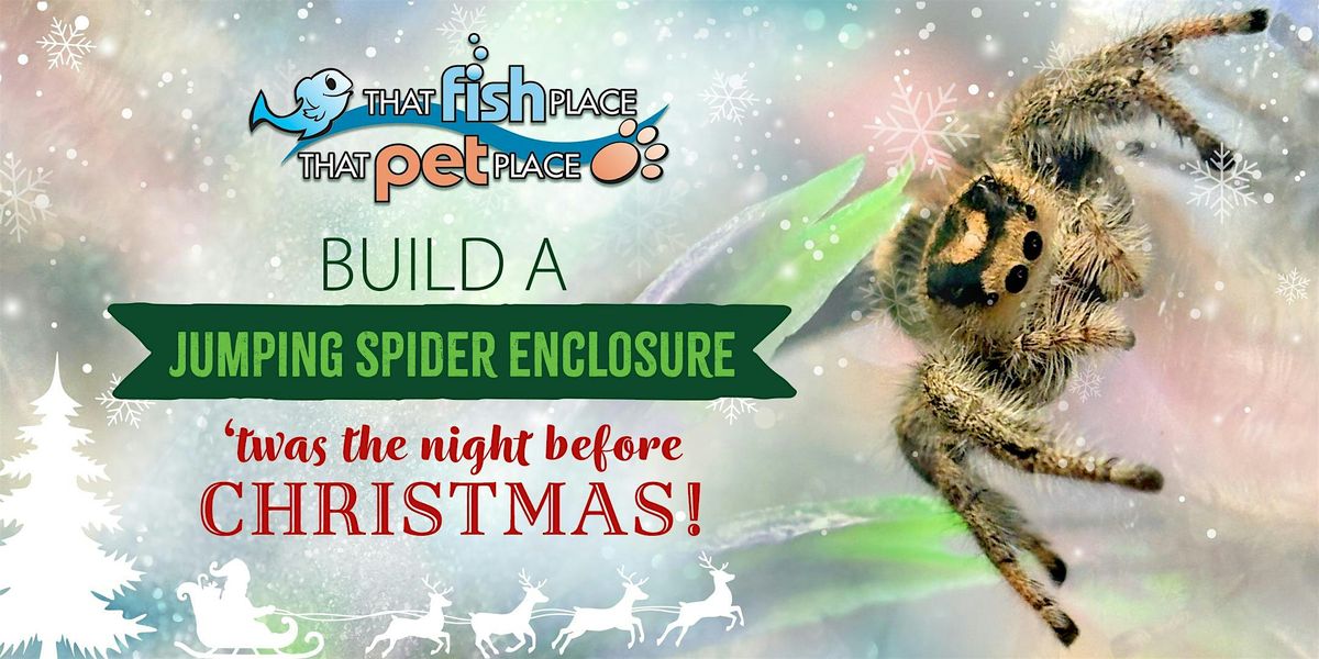 Build a Jumping Spider Enclosure: 'Twas The Night Before Christmas!, 7 December | Event in Lancaster | AllEvents