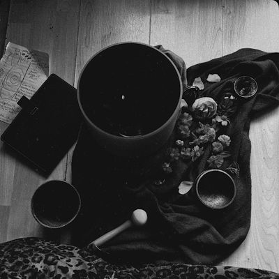 Coco Beanie + Cosmic Medi Productions logo