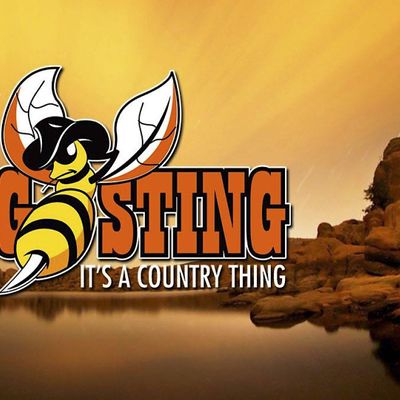 The Big Sting - Its a Country Thing