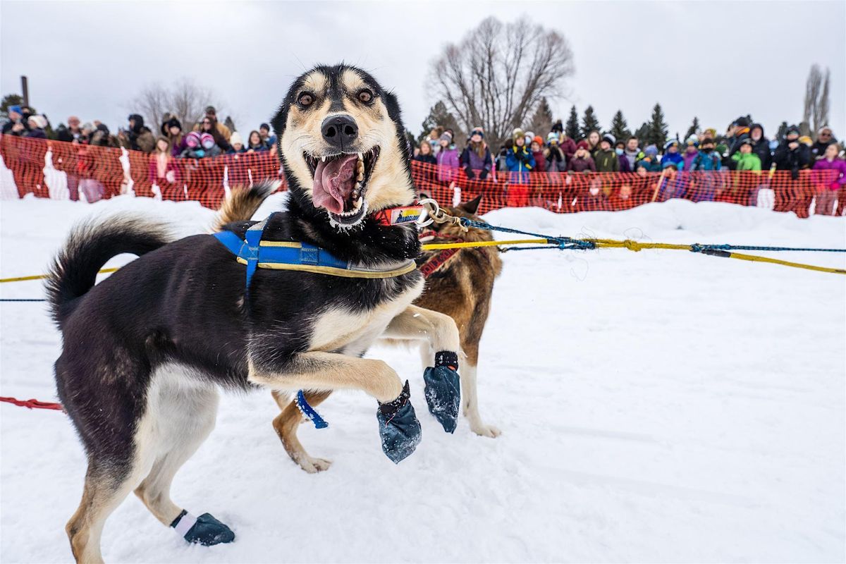 Idaho Sled Dog Challenge 300 Mile Race Awards Banquet, American Legion