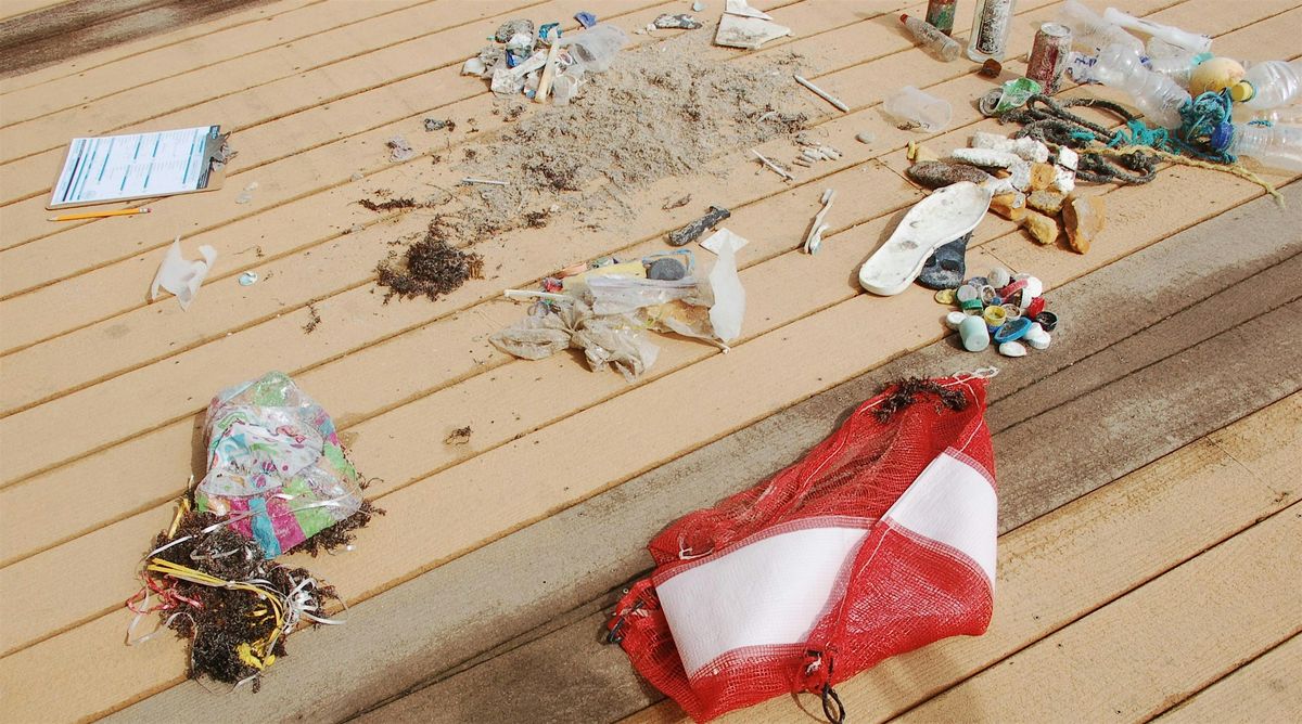 Sea Turtle 101 & Beach Cleanup, 20 December | Event in Melbourne Beach | AllEvents